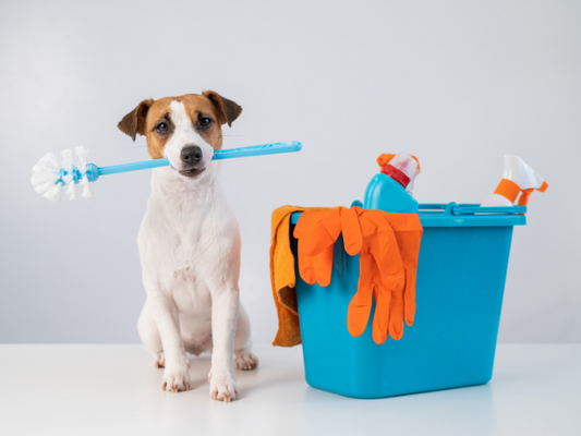 Pet Grooming Do's And Don'ts