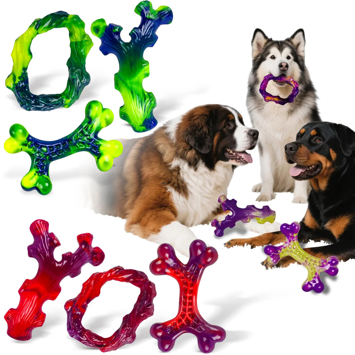 Pet Toys