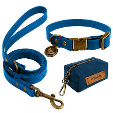 Pet Collars and Leashes