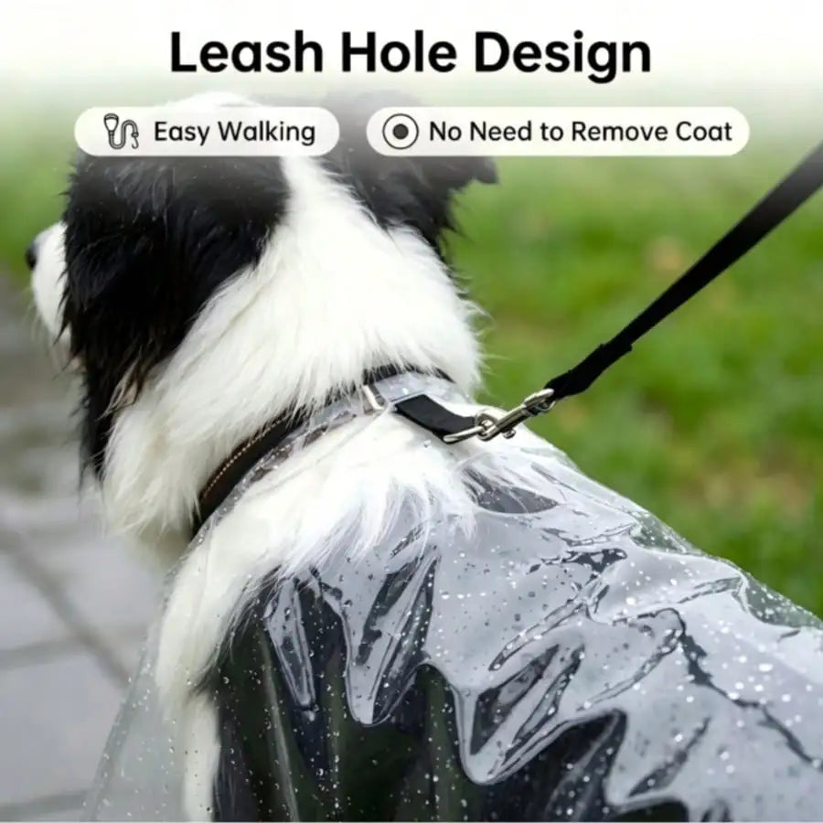 Transparent Dog Raincoat, Waterproof Clear Hooded Dog Rain Poncho With Leash Hole, Lightweight Pet Rain Jacket With Black Trim For Small Medium Large Dogs, Full Body Coverage Rainwear For Outdoor Walking