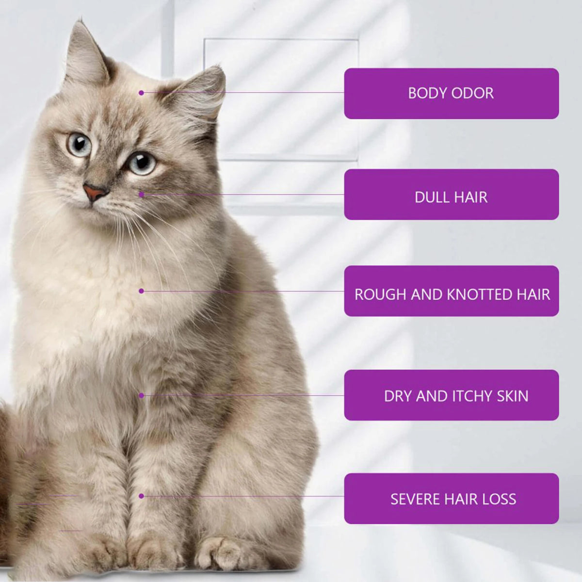 Pet Shampoo Shower Gel Dog Bath Cat Grooming Soothing Itchy Animal Skin Hair Smooth Detangling Deep Cleaning Coat Care Natural Shine Soft Tangle Free 100ml